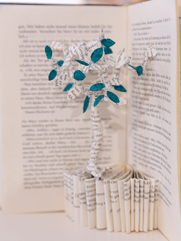 Darstellung von 20240702_AKO_336.jpg