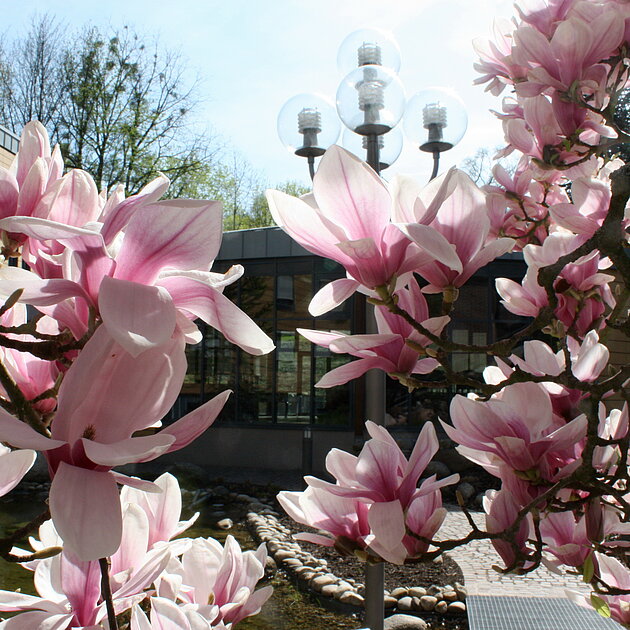 Darstellung von platzhalter-kollegium.jpg