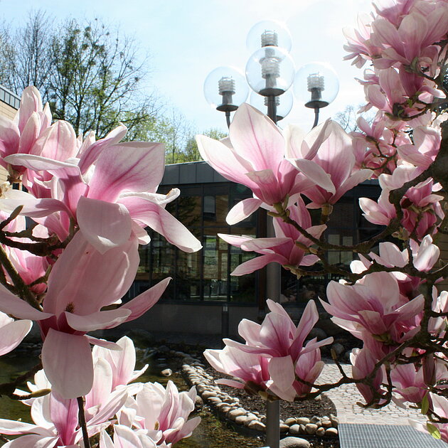 Darstellung von platzhalter-kollegium.jpg