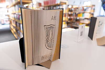 Darstellung von 20240702_AKO_240.jpg